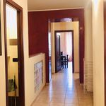 Rent 5 bedroom apartment of 120 m² in Torino