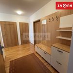 Rent 3 bedroom apartment of 118 m² in Zlín