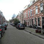 Rent 3 bedroom apartment of 85 m² in Utrecht