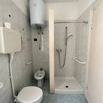Affitto 4 camera appartamento di 100 m² in Piacenza