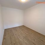 Rent 1 bedroom apartment of 30 m² in Ostrava