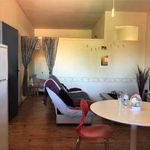 Appartement de 31 m² avec 2 chambre(s) en location à Montauban