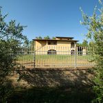 Rent 4 bedroom apartment of 75 m² in Montopoli in Val d'Arno