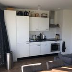 Rent 1 bedroom apartment of 475 m² in Purmerend