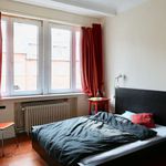 Rent a room of 300 m² in Schaerbeek