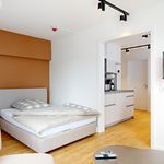 Rent 2 bedroom apartment of 29 m² in Lüneburg