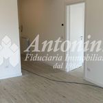 Rent 1 bedroom apartment of 100 m² in Roma