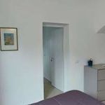 Rent 2 bedroom apartment of 69 m² in Catania