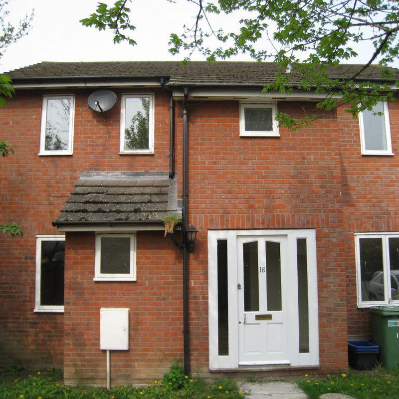house at Ferndale Rise, Cambridge, CB5 Coldham's Common