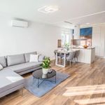 Rent 4 bedroom apartment of 79 m² in Budapest