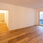 Rent 3 bedroom apartment of 80 m² in Schleedorf