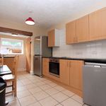 Terraced house to rent in Prospect Park, Exeter EX4