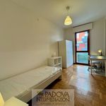 Rent a room of 12 m² in Padova