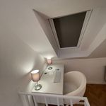 Rent 2 bedroom apartment of 38 m² in Rösrath