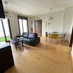 Alquilo 2 dormitorio apartamento de 65 m² en Castellana