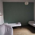 Affitto 6 camera appartamento di 75 m² in Catanzaro