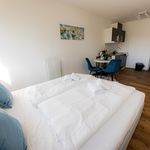 Rent 1 bedroom apartment of 22 m² in Passau