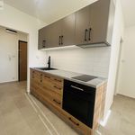 Rent 1 bedroom apartment of 38 m² in Ostrava