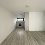 Rent 1 bedroom apartment of 54 m² in Plzeň