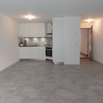 Rent 1 bedroom house of 60 m² in Aigle