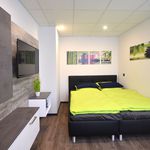 Miete 1 Schlafzimmer wohnung von 29 m² in Offenbach am Main