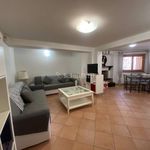 Rent 4 bedroom apartment of 70 m² in San Felice Circeo