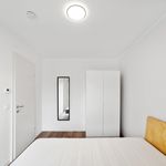 Rent a room of 45 m² in Graz