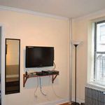 Rent 1 bedroom apartment of 46 m² in New York