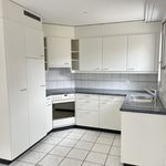 Rent 1 bedroom apartment in Wangen bei Olten