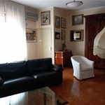 Rent 5 bedroom apartment of 250 m² in Piacenza