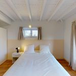 Rent a room of 303 m² in Arrondissement of Toulouse