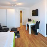 Modernly and attractively furnished serviced apartment near airport