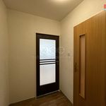 Rent 1 bedroom apartment of 34 m² in Litvínov