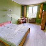 Rent 2 bedroom apartment of 61 m² in Plzeň