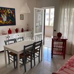 Rent 2 bedroom apartment of 45 m² in Cerveteri