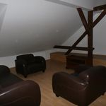 Rent 1 bedroom apartment of 70 m² in Ostrava