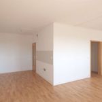 Rent 3 bedroom apartment of 67 m² in Chemnitz
