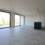 Rent 2 bedroom apartment of 150 m² in Schilde