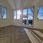 Rent a room of 170 m² in Edam