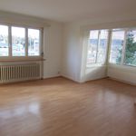 Rent 1 bedroom apartment of 75 m² in Schaffhausen