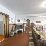 Affitto 5 camera appartamento di 150 m² in Anzio