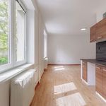Rent 2 bedroom apartment of 51 m² in Plzeň