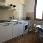 Rent 1 bedroom house of 20 m² in Florence