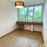 Rent 2 bedroom apartment of 30 m² in Wrocław