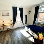 Rent 2 bedroom apartment of 44 m² in Dresden