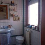 Rent 1 bedroom house of 20 m² in Roma