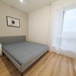Rent 4 bedroom apartment of 59 m² in Kielce