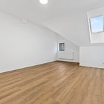 Rent 2 bedroom apartment of 30 m² in Liberec