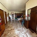 Rent 3 bedroom house of 230 m² in Gualdo Cattaneo