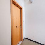 Rent 4 bedroom apartment in Roma